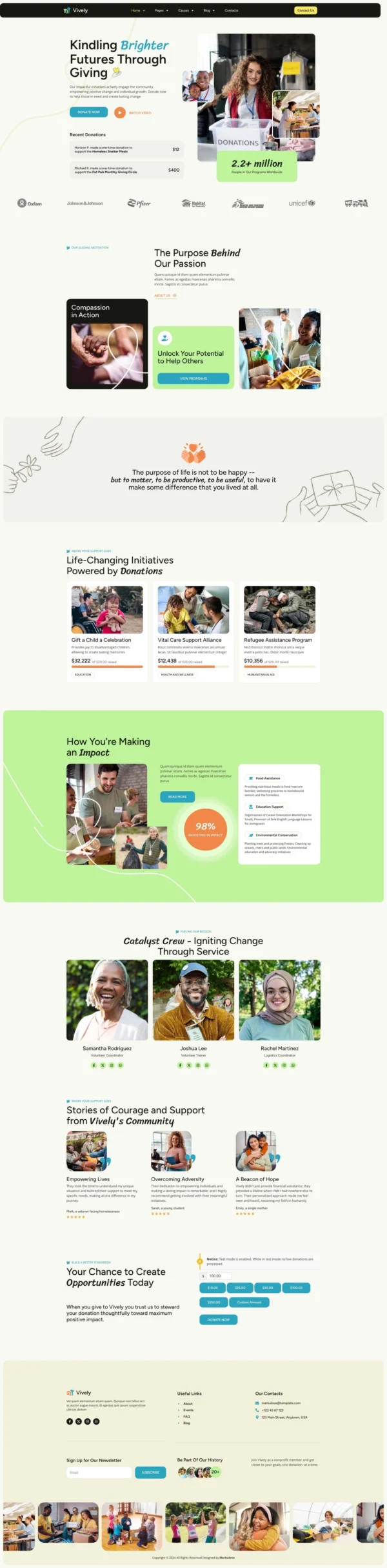 Vively – Charity & Donation Website Design Package