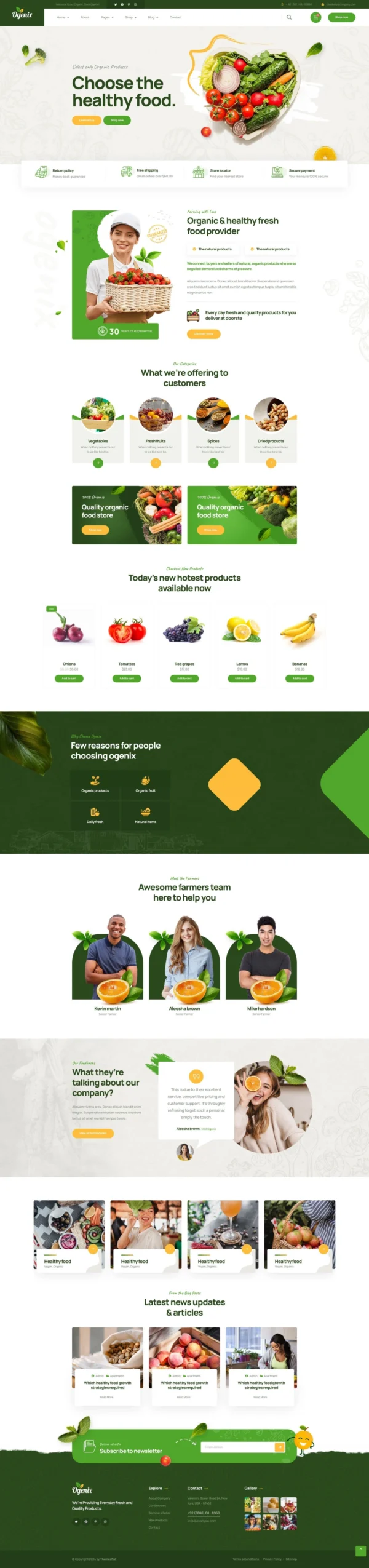 Ogenix - Organic Food Store Website Design Package