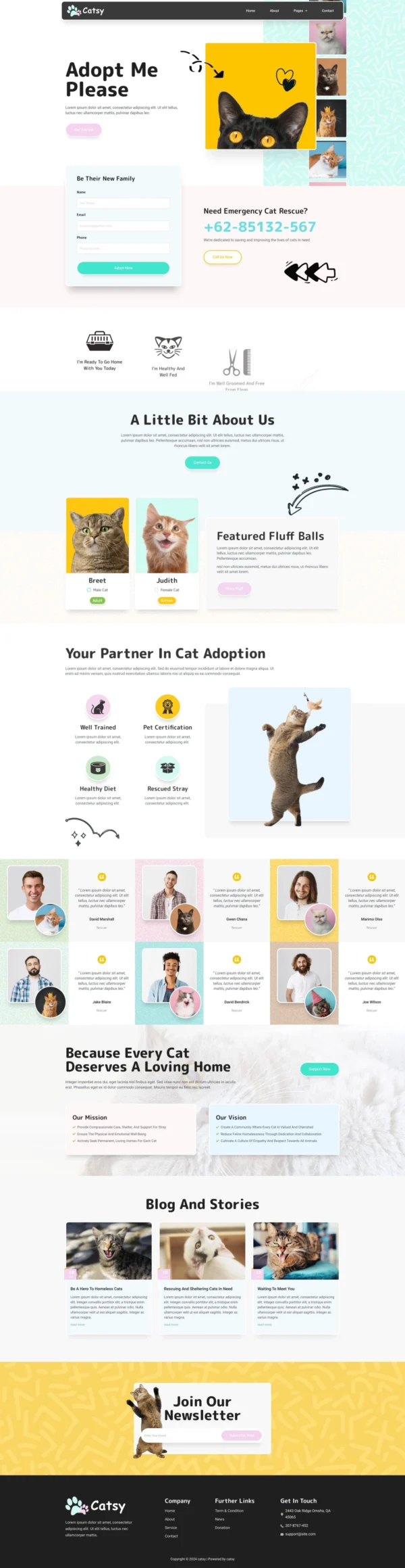 Catsy - Cat Rescue & Shelter Website Design Package