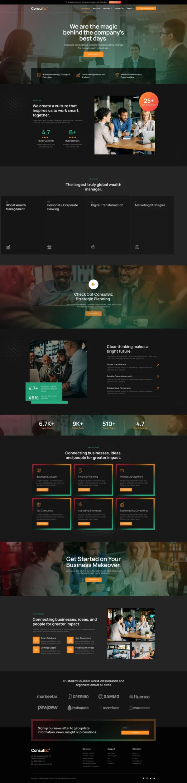 ConsulBiz - Business Consultant Website Design Package