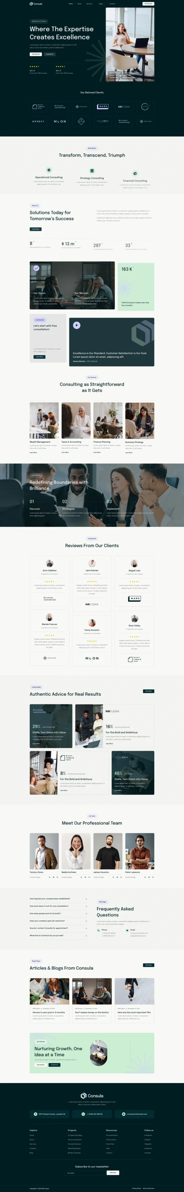 Consula - Business and Finance Consulting Website Design Package