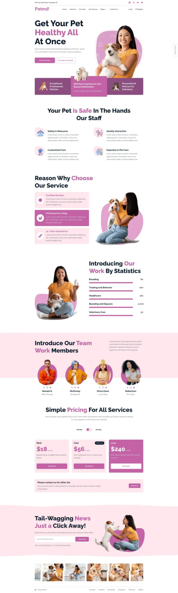 Petmo - Pet Care Website Design Package