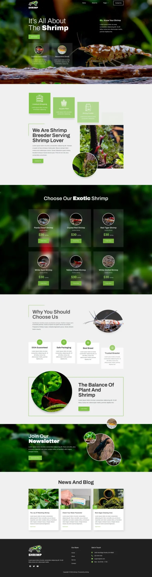 Shrimp - Aquarium & Hobby Shop Website Design Package