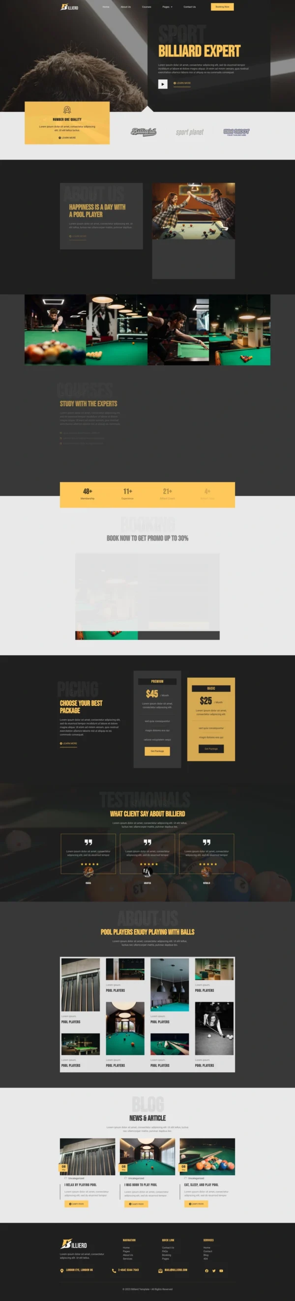 Billierd - Billiard School & Sport Club Website Design Package