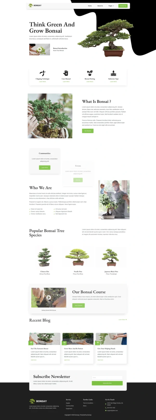 Bonsay - Bonsai Studio Website Design Package