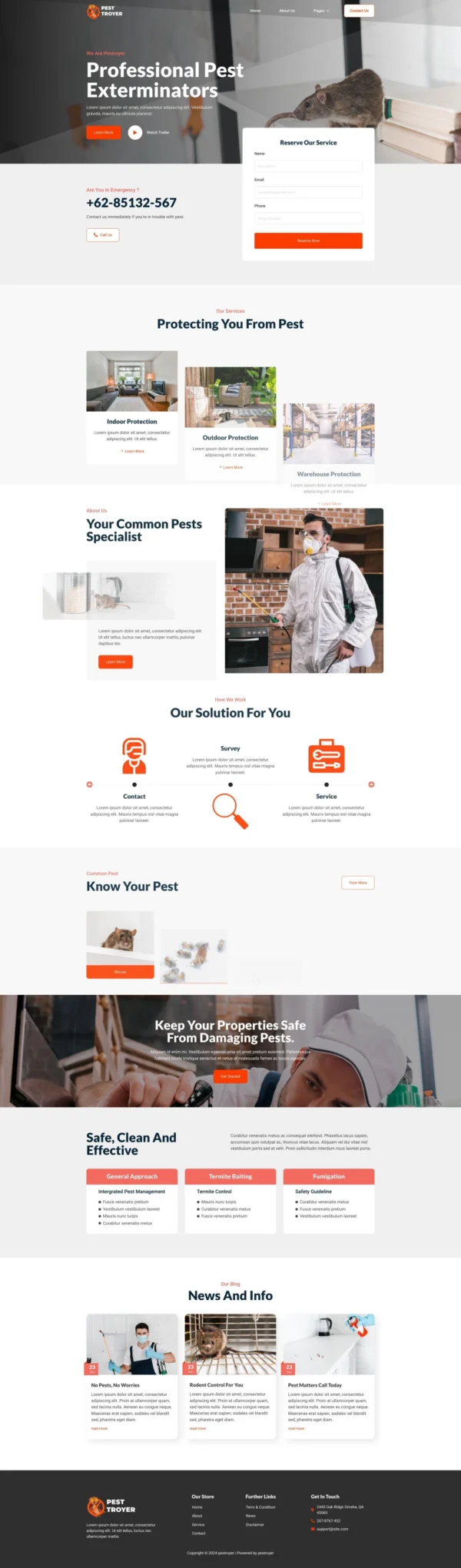 Pestroyer - Pest Control Service Website Design Package