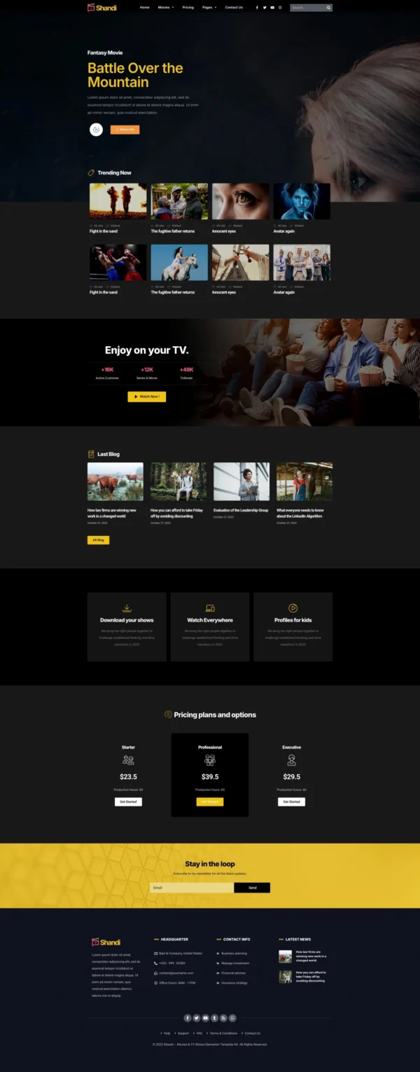 Shandi – Movies & TV Shows Website Design Package