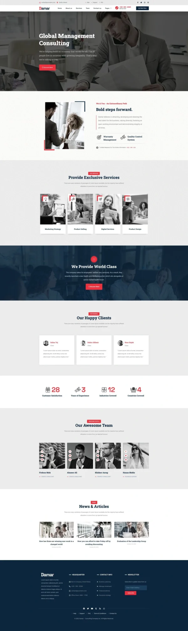 Damar - Business Consultant Website Design Package
