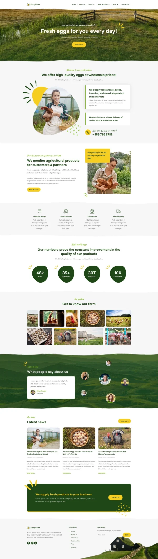 CoopFarm - Poultry Farm Website Design Package