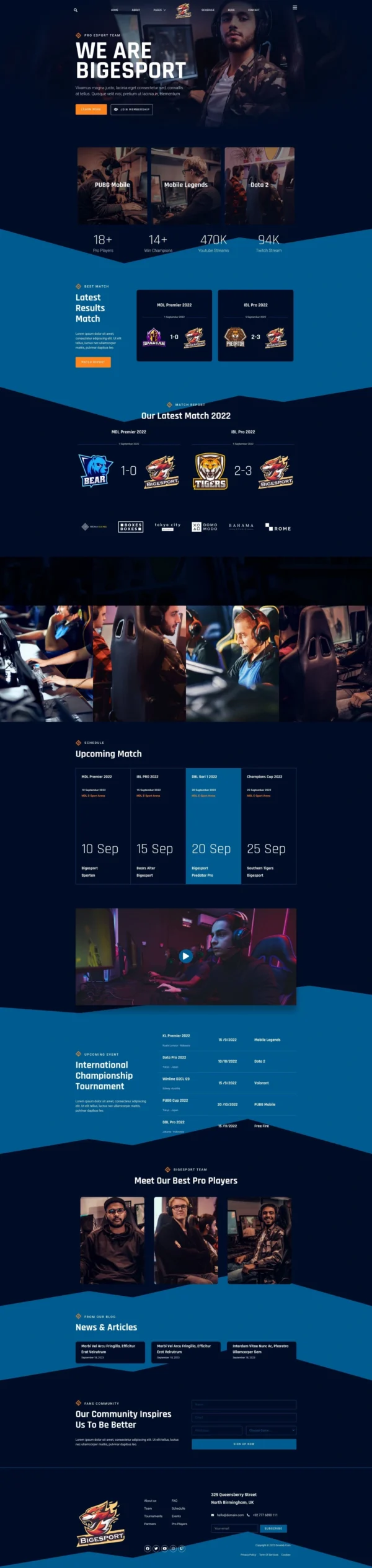 Bigesport - Esport & Gaming Team Website Design Package