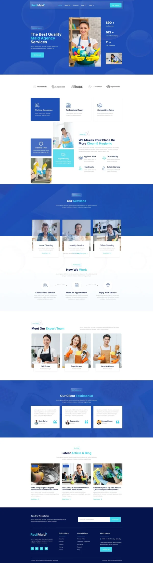 Redimaid - Cleaning & Maid Service Agency Website Design Package