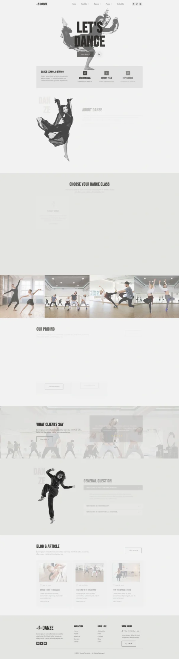 Danze - Dance Studio School Website Design Package