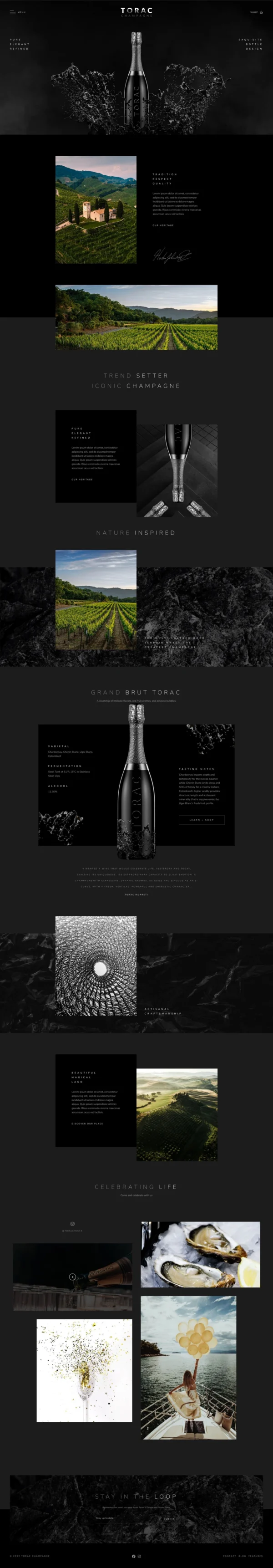 Torac - Champagne Website Design Package