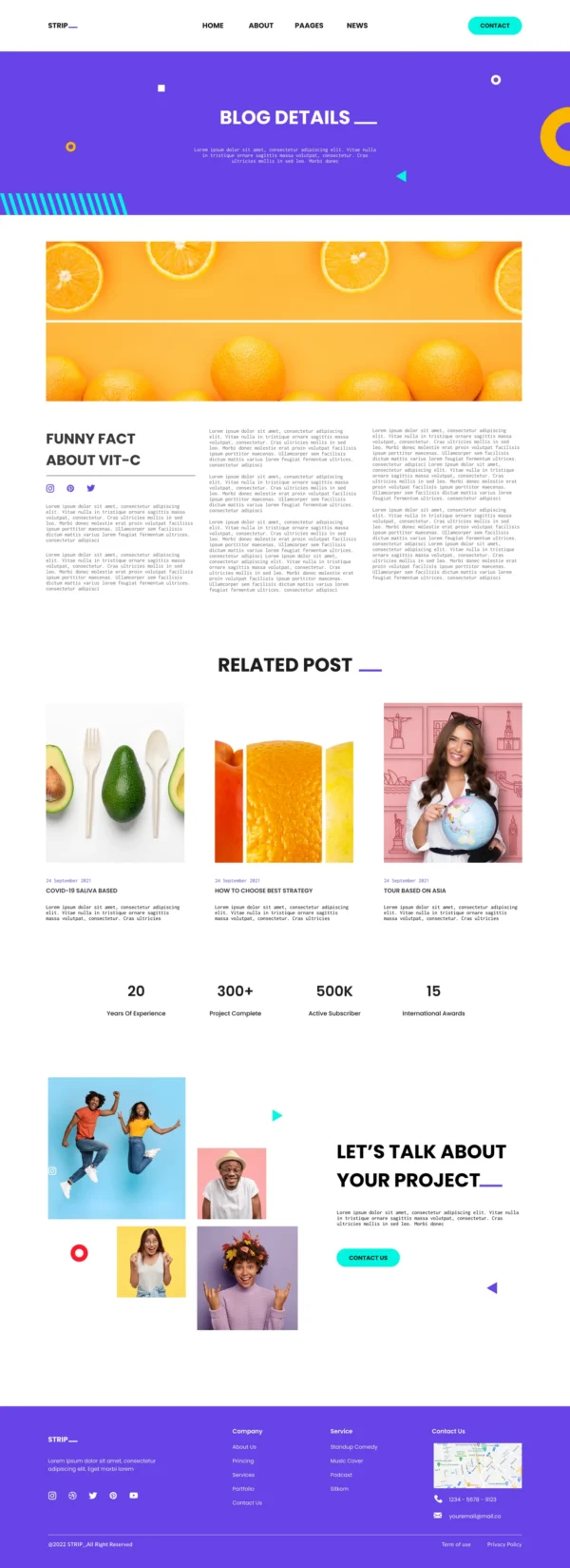 Strip - Content Creator & Influencer Website Design Package - Image 5