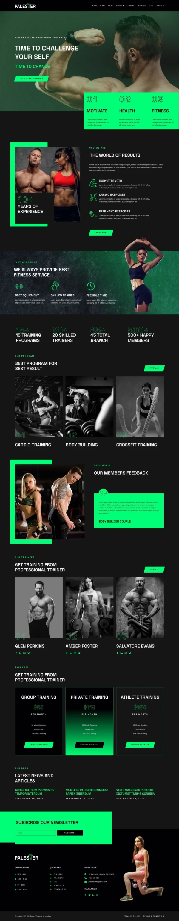 Palester - Gym & Fitness Website Design Package