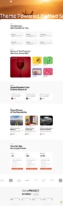 Most - Creative Agency and Portfolio Website Design Package - Image 2