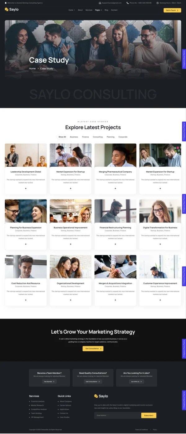 Saylo - Business Consulting Website Design Package Base - Image 3