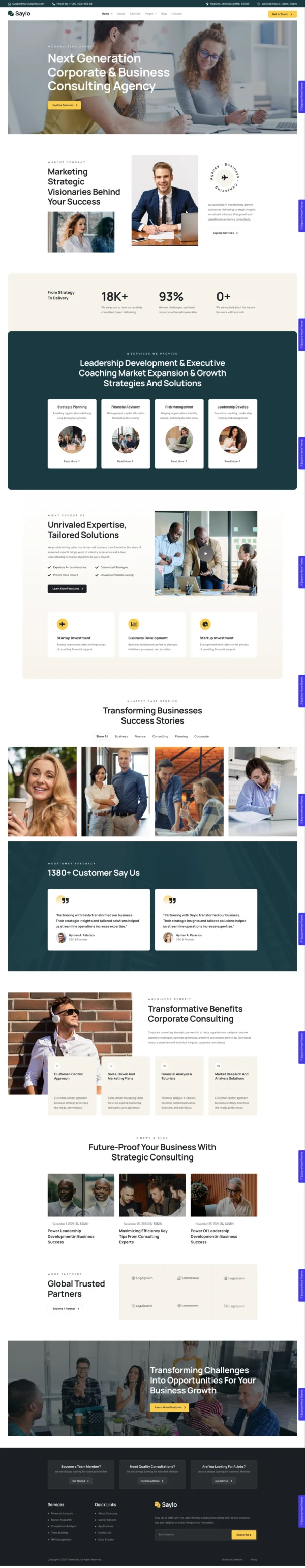 Saylo - Business Consulting Website Design Package Base - Image 2